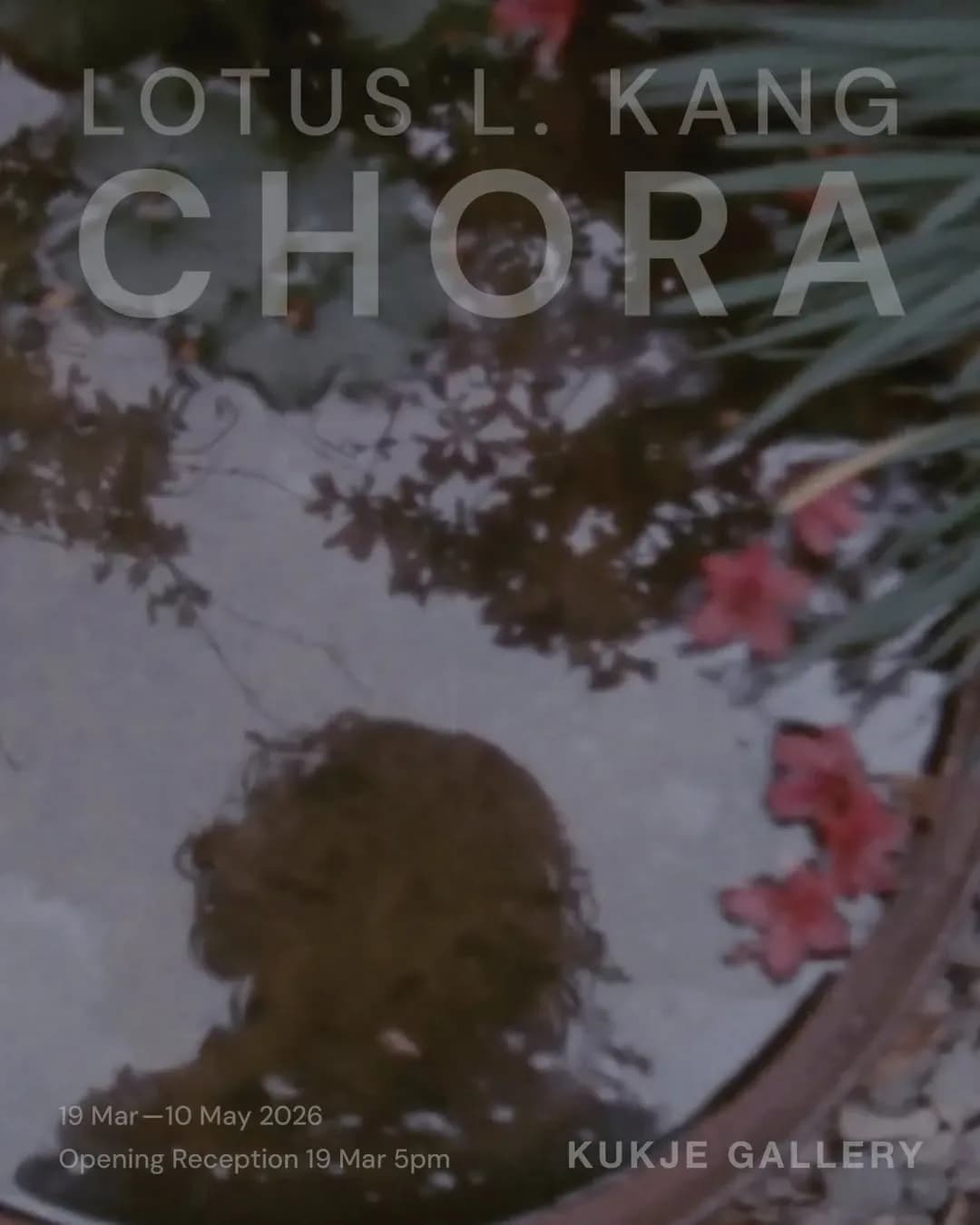 로터스 강 개인전: Chora
