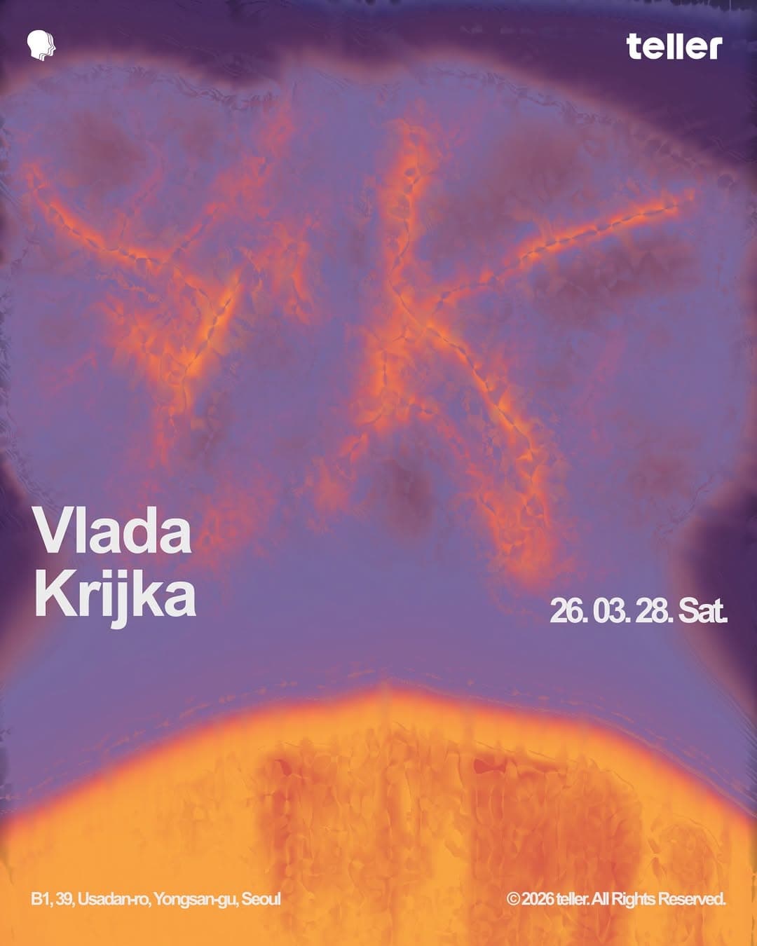 We welcome Vlada