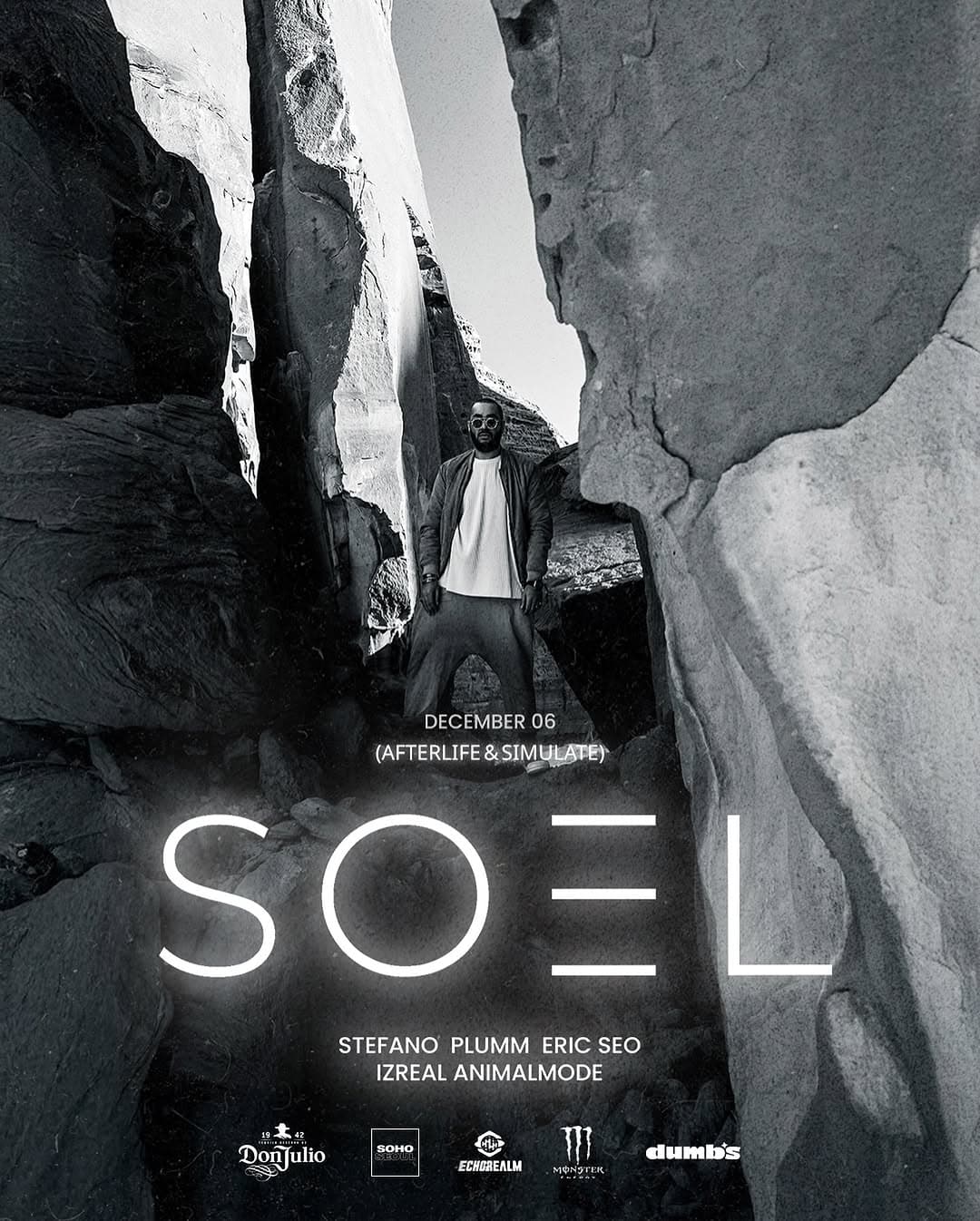 (AFTERLIFE & SIMULATE) SOEL
