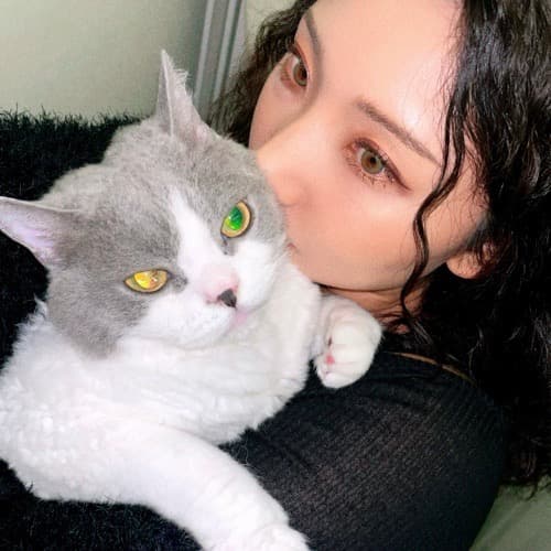 stella